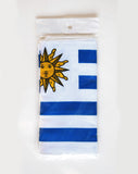 Uruguay Flag Print Scarf