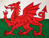 Wales Flag Fleece Blanket - 50