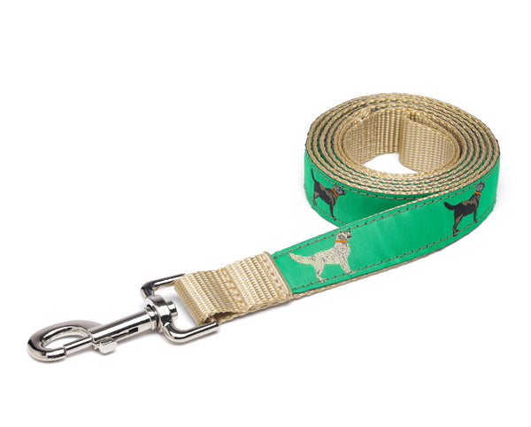 Zep-Pro Bird Dog Breeds Ribbon Dog Leash – JAVI Sports
