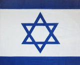 Israel Flag Fleece Blanket - 50