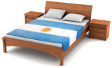 Argentina Flag Fleece Blanket 80