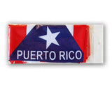 Puerto Rico Flag Print Scarf