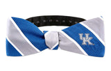Kentucky Wildcats Woven Silk Bow Tie - NCAA