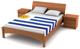 Uruguay Flag Fleece Blanket 80