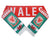Wales National Team Soccer Scarf - FIFA